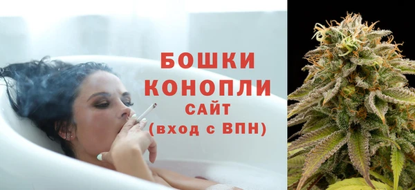 эйфоретик Горняк