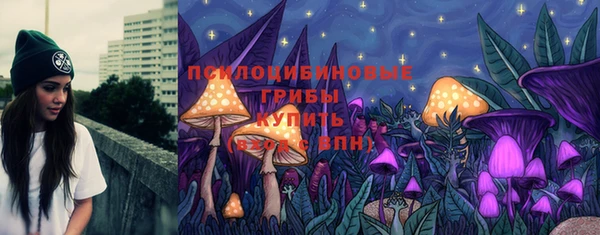 эйфоретик Горняк